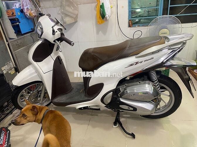 SH Mode trắng hiếm – chính chủ nữ, xe như mới 99%