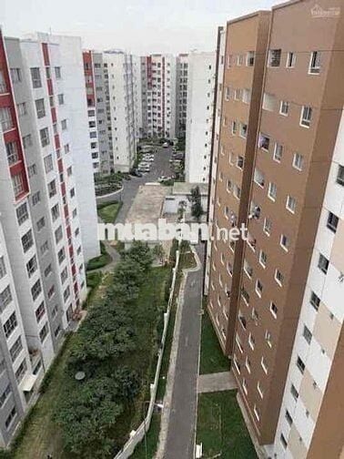 Rổ Hàng CH Ruby -  Celadon Tân Phú 70m 3ty950 2PN 2WC