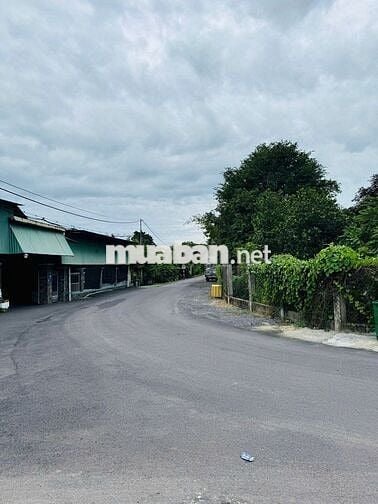 BÁN GẤP LÔ ĐẤT VƯỜN, DT 350m², 10×35, MT 1/ Nguyễn Thị Lắng, SHR