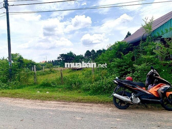 Bán lô đất 500m2 Tỉnh Lộ 7 gần chợ Phước Thạnh Củ Chi, SHR, giá 1,3 tỷ