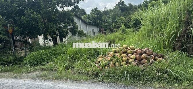 ĐẤT CHÍNH CHỦ CẦN BÁN NHANH LÔ ĐẤT MẶT TIỀN tại huyện Củ Chi, TPHCM