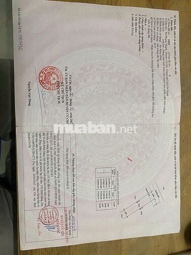 HÀNG HIẾM CỰC PHẨM TẠI XÃ PHƯỚC THẠNH 150M2, GIÁ RẺ 800 TRIỆU , SHR