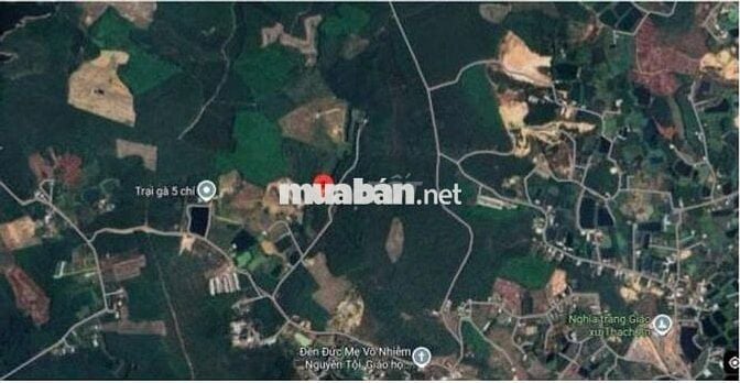 Bán Đất Nông Nghiệp Tân An, Vĩnh Cửu, Đồng Nai