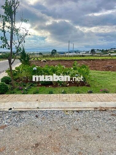 ĐẤT VIEW ĐỒI TRUNG TÂM ĐƠN DƯƠNG – HẠ TẦNG HOÀN THIỆN,CHỈ  630 TRIỆU!