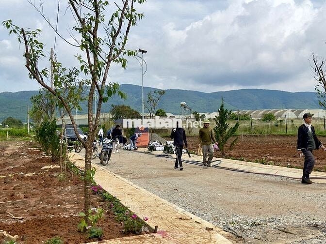 ĐẤT VIEW ĐỒI TRUNG TÂM ĐƠN DƯƠNG – HẠ TẦNG HOÀN THIỆN,CHỈ  630 TRIỆU!