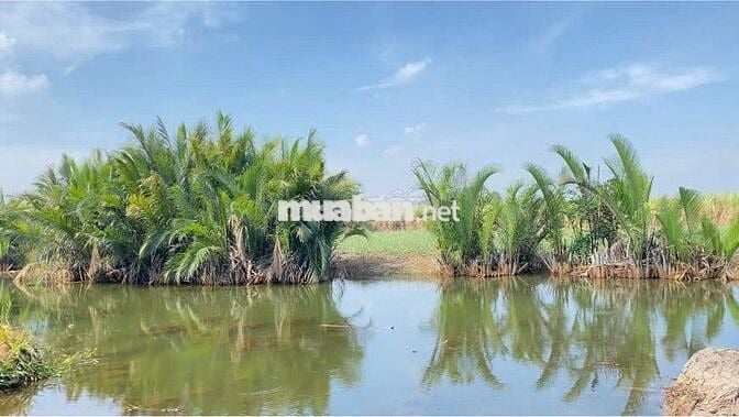 CẦN BÁN ĐẤT SỔ HỒNG , PHƯỚC KHÁNH , NHƠN TRẠCH , ĐỒNG NAI