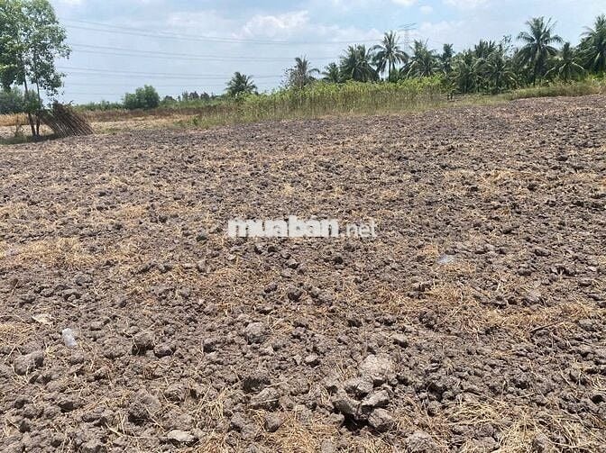 CẦN BÁN ĐẤT SỔ HỒNG , PHƯỚC KHÁNH , NHƠN TRẠCH , ĐỒNG NAI