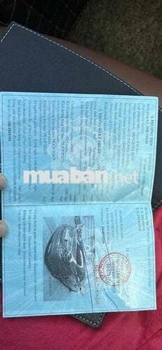 Mercedes-Benz C300 2019 Đỏ 38346 km - 990tr