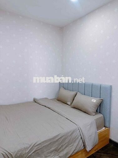 Căn hộ 2pn cao cấp giá 12,5 triệu, Cc The Pegasuite 1, p6, q8