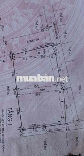 CHÍNH CHỦ BÁN ĐẤT - TẶNG DÃY PHÒNG TRỌ