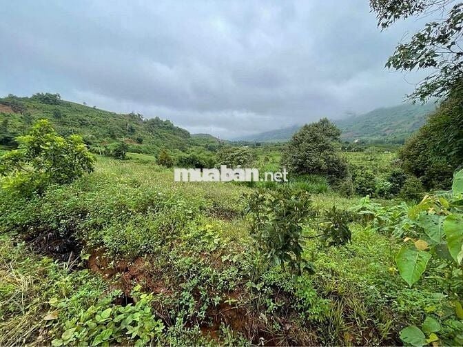 Bán đất CC 2MT 100m Lộc Tân,view hồ Ngọc,ngay nút giao cao tốc, TTHC