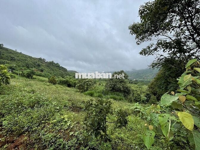 Bán đất CC 2MT 100m Lộc Tân,view hồ Ngọc,ngay nút giao cao tốc, TTHC