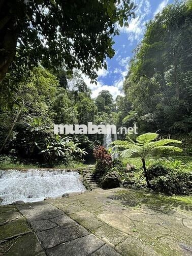 Bán đất CC Lộc Tân,view hồ Ngọc,ngay nút giao cao tốc, TTHC