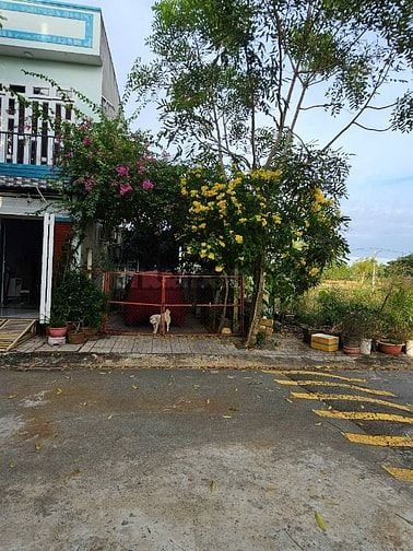 Đất thổ cư, xây dựng tự do, hỗ trợ vay ngân hàng