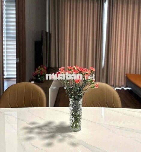 CHO THUÊ CĂN HỘ MIZUKI PARK 100m2 - 3PN - 2WC