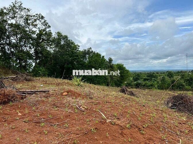 🚨 8 xào khối 15 Phường Khánh Xuân ( thực tế khoảng 1 Ha ) !
🌈