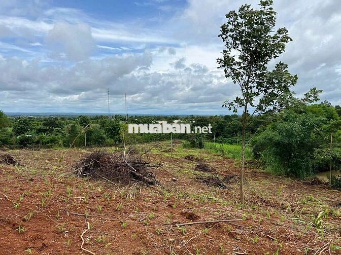 🚨 8 xào khối 15 Phường Khánh Xuân ( thực tế khoảng 1 Ha ) !
🌈