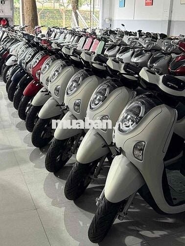 Scoopy 2025 mới 100%