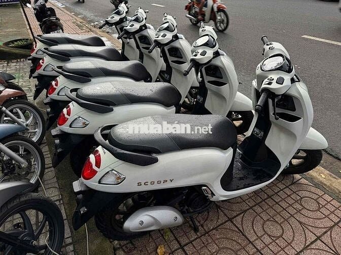 Scoopy 2025 mới 100%