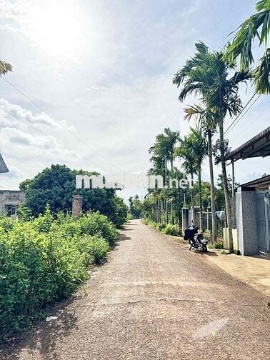 mặt tiền đường D5 phường tân An đẹp giá đầu tư nhanh