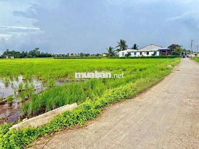 Quá rẻ, 132m2 đất thổ cư đường cầu dừa chỉ 425 tr