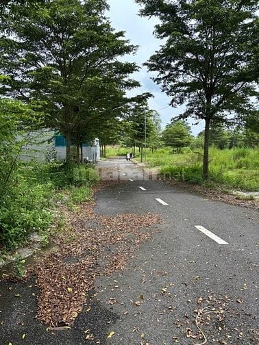 Bán 117,9m2 đất ở xã Trảng Bom, Đồng Nai