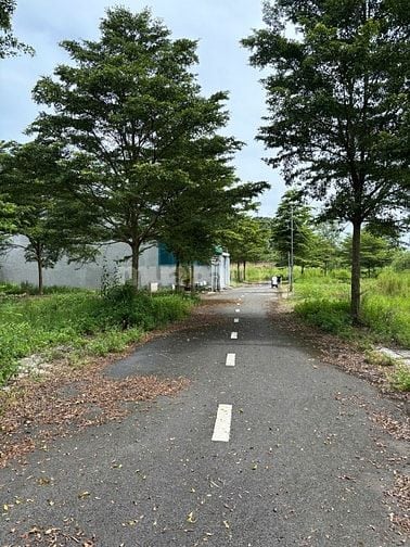 Bán 117,9m2 đất ở xã Trảng Bom, Đồng Nai