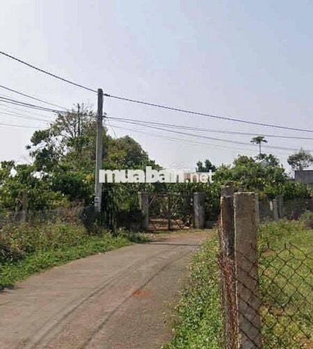 Đất vườn xã Bảo Lâm gần nhà thờ Lâm Phát ngã ba Hitler