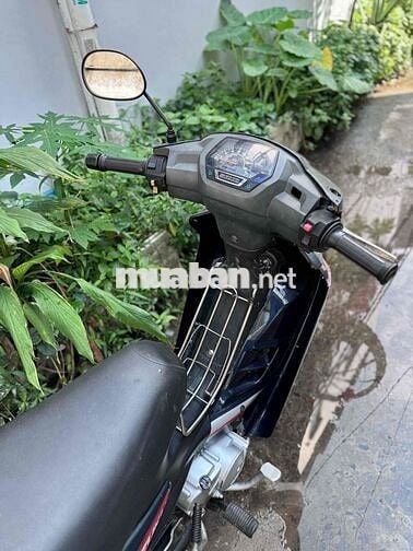 viva bstp giấy tờ đầy đủ