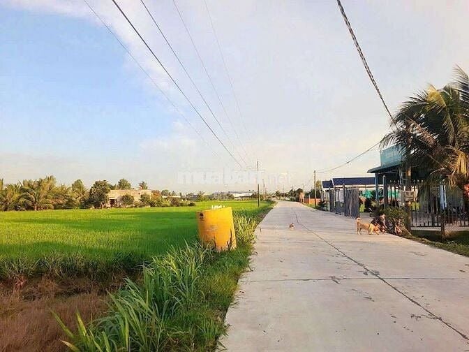 Quá rẻ, 132m2 đất thổ cư đường cầu dừa chỉ 425 tr