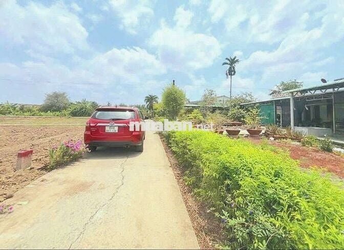 Hàng vip, 1000m2 đất lúa chuyển thổ gần KCN AN Nhựt Tân, chỉ 1.1 tỷ