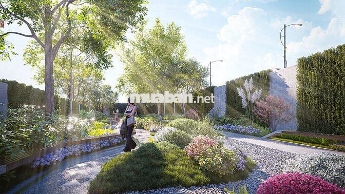 Thông tin chi tiết căn hộ The Aspira - Vị trí, thiết kế, tiện ích, giá