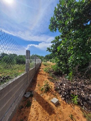 Đất đẹp đầu tư, để ở, gần biển tại Thiện Nghiệp, Phan Thiết view đồi c