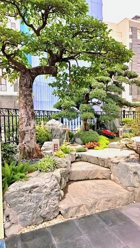 QUY TRÌNH THIẾT KẾ VÀ THI CÔNG HỒ CÁ KOI ĐÚNG TIÊU CHUẨN, KỸ THUẬT.