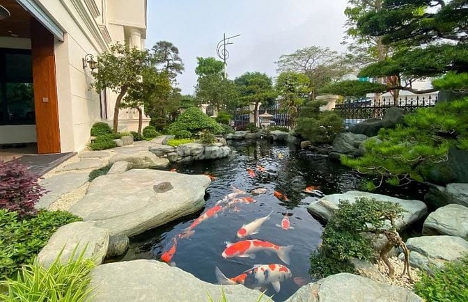 QUY TRÌNH THIẾT KẾ VÀ THI CÔNG HỒ CÁ KOI ĐÚNG TIÊU CHUẨN, KỸ THUẬT.