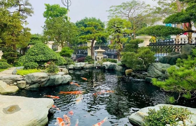 QUY TRÌNH THIẾT KẾ VÀ THI CÔNG HỒ CÁ KOI ĐÚNG TIÊU CHUẨN, KỸ THUẬT.