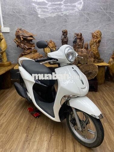 Janus đẹp, máy êm thì thầm bao vọt biển SG