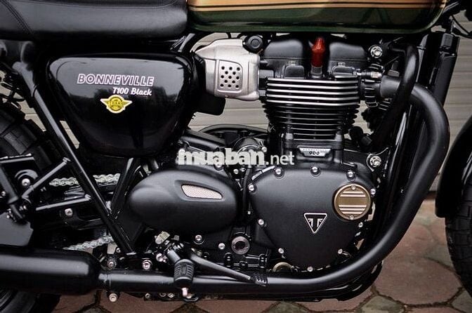THANH MOTOR Cần bán Triumph T100 2019