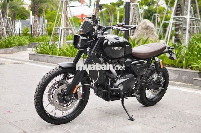 THANH MOTOR Cần bán Triumph Scrambler 1200CX 2024