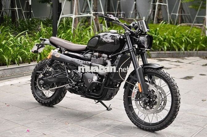 THANH MOTOR Cần bán Triumph Scrambler 1200CX 2024