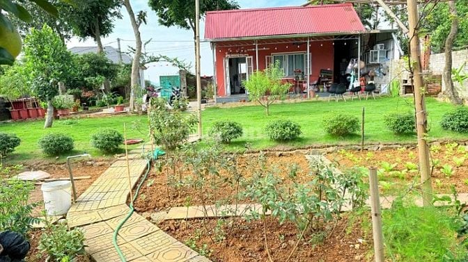 Chính chủ bán đất tặng nhà mới đẹp view cao thoáng phú cát mới