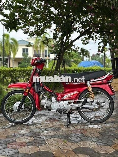 Honda Dream Thái 1998 Dọn Kiểng Bao Êm Xe Đẹp