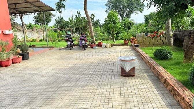 Chính chủ bán đất tặng nhà mới đẹp view cao thoáng phú cát mới