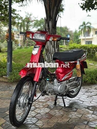 Honda Dream Thái 1998 Dọn Kiểng Bao Êm Xe Đẹp
