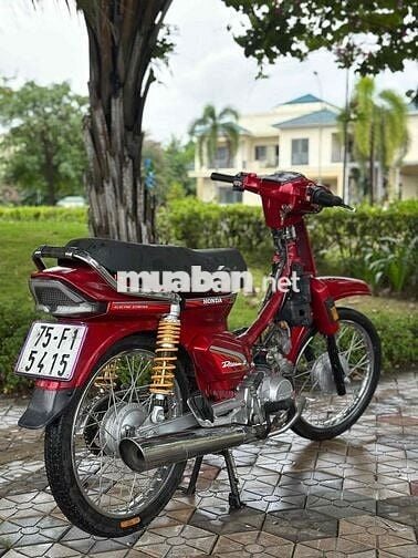 Honda Dream Thái 1998 Dọn Kiểng Bao Êm Xe Đẹp