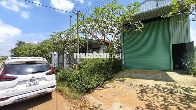 🏠 159m² Mặt Tiền Kinh Doanh Cổng Trường Nguyễn Du – CƠ HỘI VÀNG ĐẦU TƯ