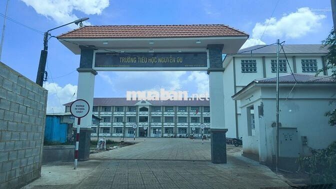 🏠 159m² Mặt Tiền Kinh Doanh Cổng Trường Nguyễn Du – CƠ HỘI VÀNG ĐẦU TƯ