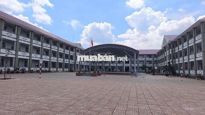 🏠 159m² Mặt Tiền Kinh Doanh Cổng Trường Nguyễn Du – CƠ HỘI VÀNG ĐẦU TƯ