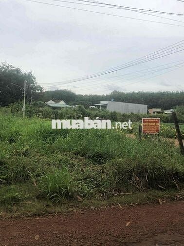 Sang nhanh lô đất ở 183m2 gần trường Nguyễn Huệ giá chỉ 270tr