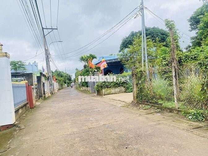 🔥 SIÊU NGỘP – 480M² FULL THỔ CƯ TRUNG TÂM DC DẦU GIÂY, GIÁ CHỈ 1.6 TỶ!